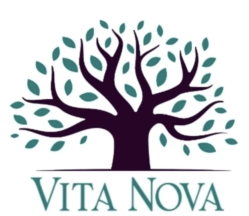 Vita Nova's previous logo