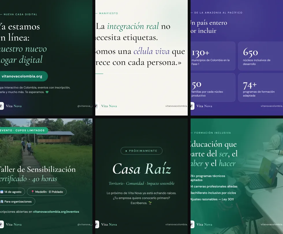 Vita Nova's new feed by LQS: one visual line